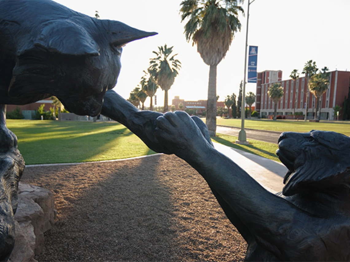 Sunset over the wildcats statue on the UArizona mall.