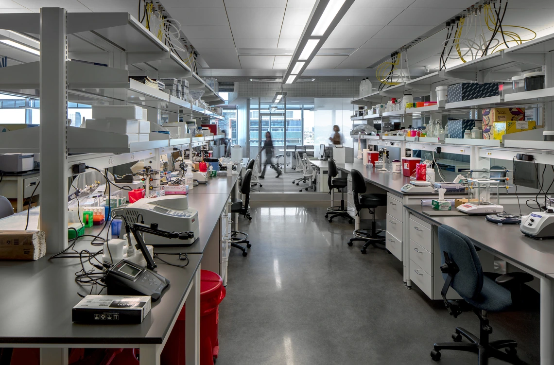 A University of Arizona lab at the Biomedical Sciences Partnership building.