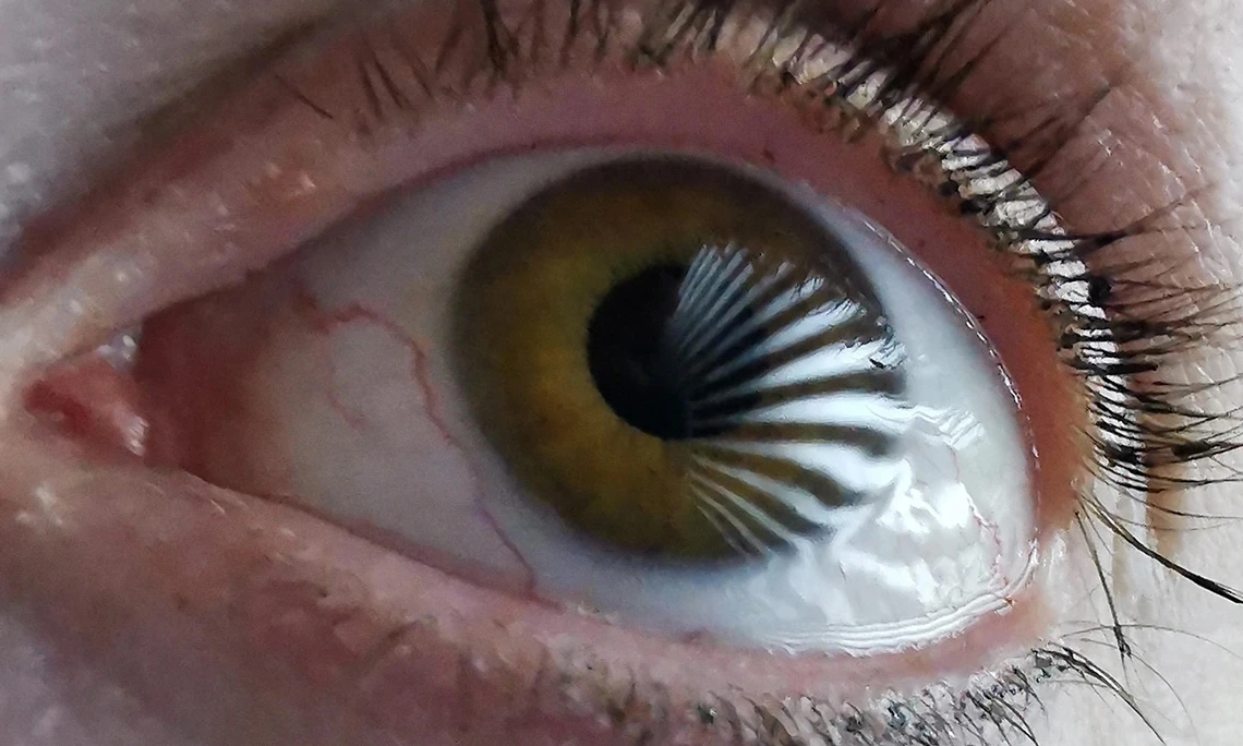 A close up image of the human eye.