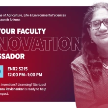 Sadhana Ravishankar, professor of Comparative Animal & Biomedical Sciences at the College of Agriculture, Life & Environmental Sciences